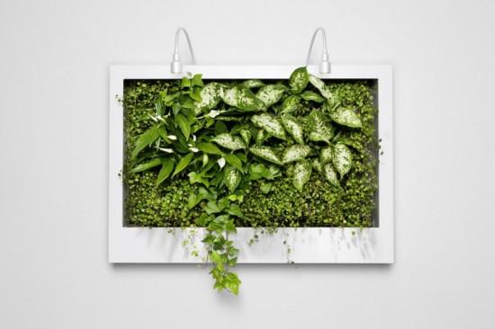 Plantwall